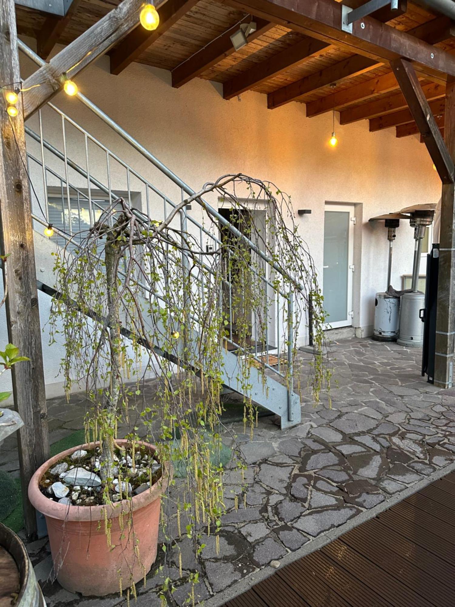 Mola Apartments-Apartment Im Herdecker Zentrum Fuer 3 Gaeste-Gratis Parkplatz-Highspeed Wlan-Auch Fuer Langzeit Geeignet Exterior photo